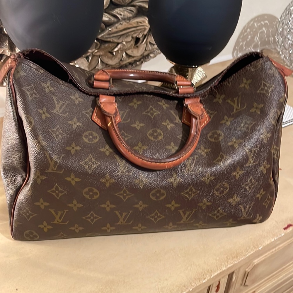 Louis Vuitton Speedy 35 Project Bag
